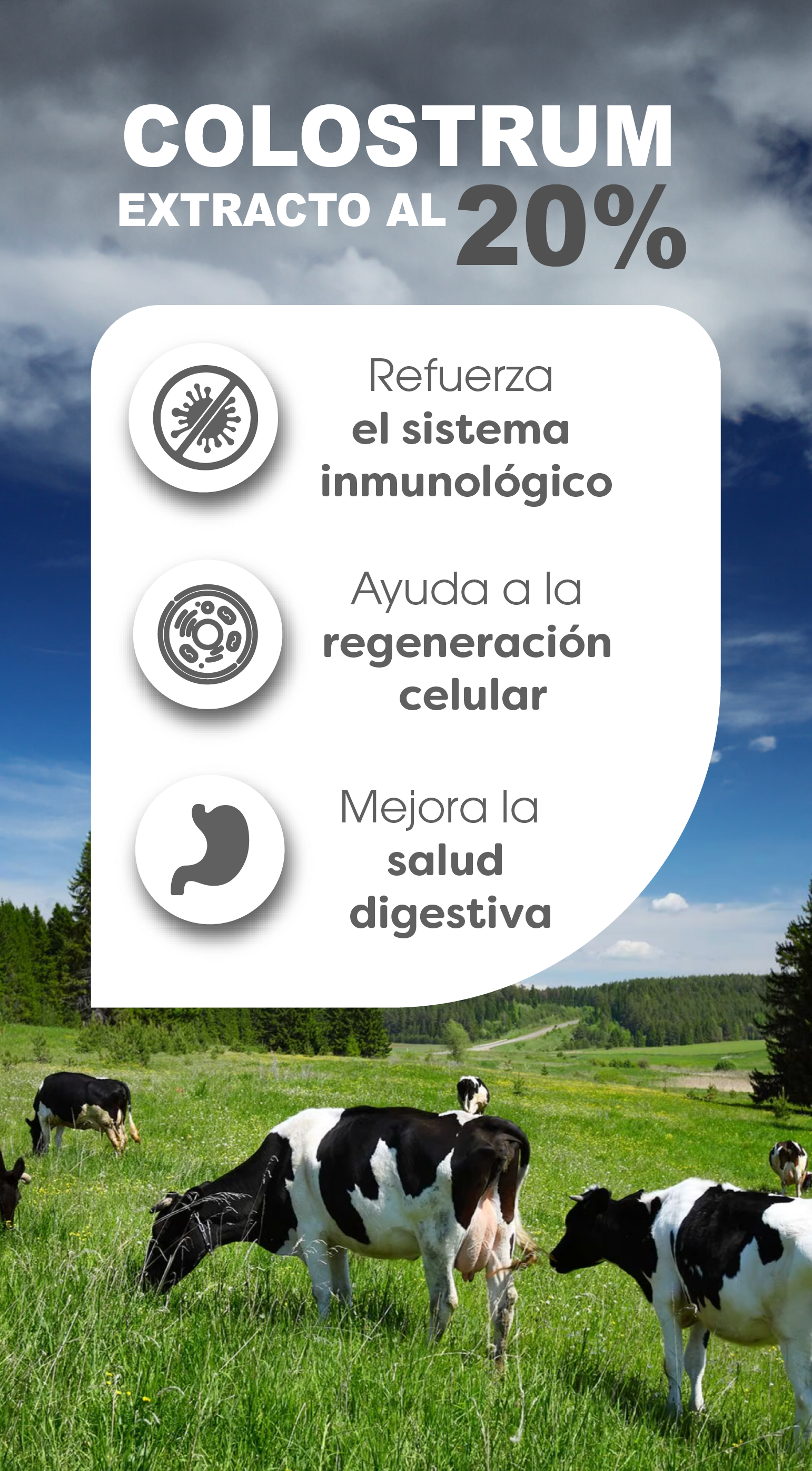 Antibacteriana