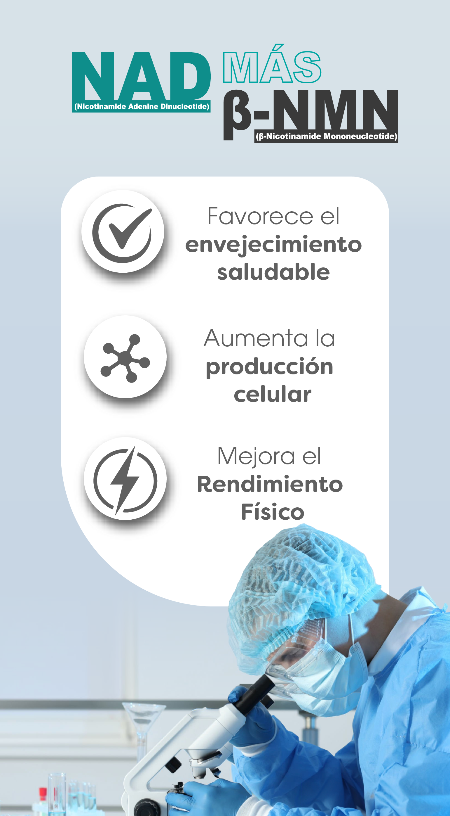 Mezclas de Té